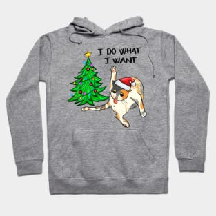 I Do What I Want Funny Cat Hoodie